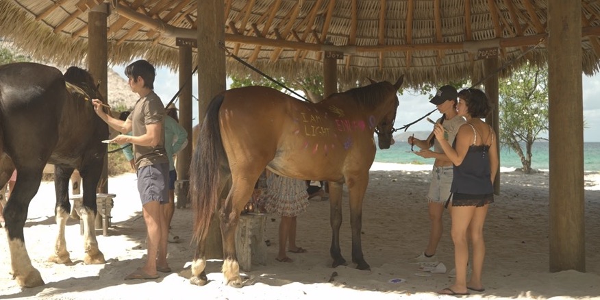 Delegates painting affirmations on horses under a beach palapa at The Aerial BVI
